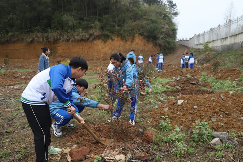 種下20萬(wàn)元常青樹 禮獻(xiàn)建黨百年華誕